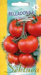 Pomidorai vidutiniškai ankstyvi, trumpais tarpubambliais, pakenčia temperatūros svyravimus, stambiais vaisiais 'BELLADONA F1' 10 sėklų S. NAUJIENA 2024 m.