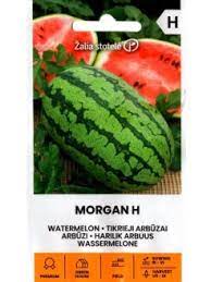Arbūzai hibridiniai, dideli labai saldūs vaisiai 'MORGAN H' 5 sėklos A. NAUJIENA 2024 m.