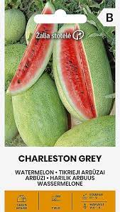 Arbūzai labai dideliais vaisiais, rekordui 'CHARLESTON GRAY' 1 g A. NAUJIENA 2024 m.