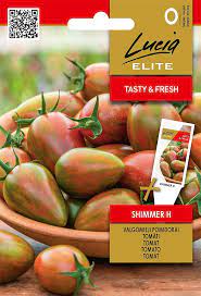 Pomidorai smulkūs, ovalūs, dryžuoti, ankstyvi 'SHIMMER H' 10 sėklų Elite
