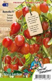Pomidorai svyrantys vazone, raudoni,ovalūs, atsparūs ligoms 'ROMELLO F1' 10 sėklų SLG. NAUJIENA 2024 m.