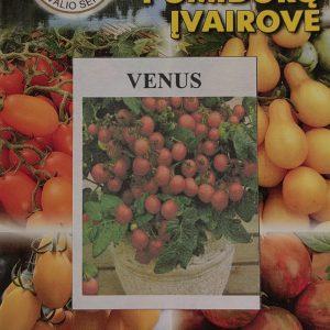 Pomidorai žemi, auginimui vazone, oranžiniai smulkūs 'VENUS' 0,1 g PS
