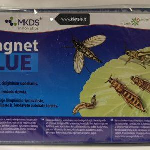 MAGNET BLUE MINI (20x12) lipni gaudyklė tripsams, daiginiams uodeliams 20 vnt. NAUJIENA 2024 m.