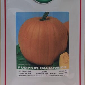 Muskusiniai moliūgai maistui ir drožybai 'HALLOWEEN' 50 g (Didelė pakuotė) GS.