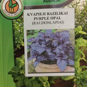 Kvapieji bazilikai tamsialapiai 'PURPLE OPAL' 0,3 g PS