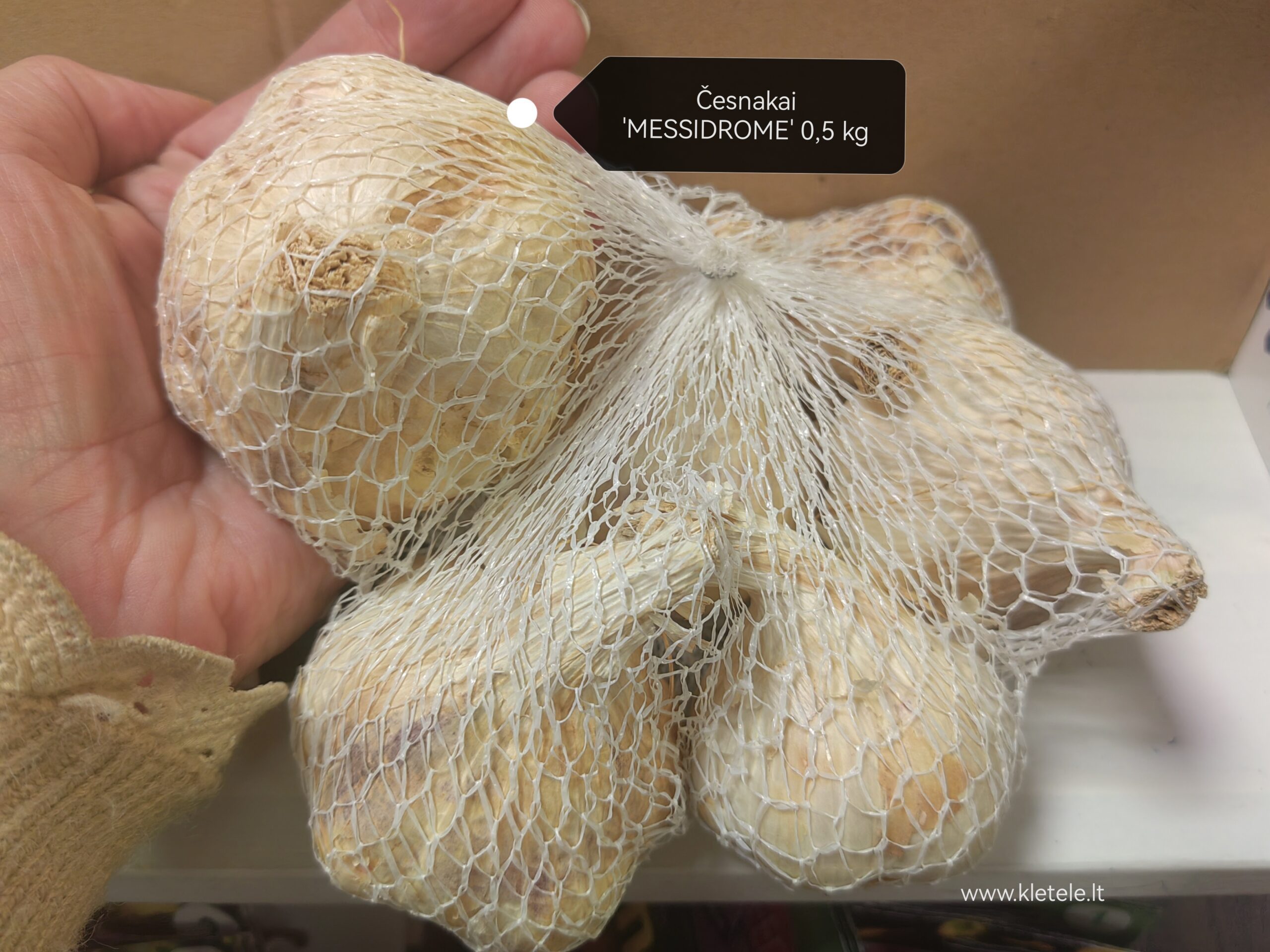 Česnakų sodinukai, žieminiai, baltu lukštu, vidutinio ankstyvumo, atsparūs ligoms 'MESSIDROME' 0,5 kg (Profi linija) NAUJIENA 2024 m. Česnakų sodinukai, žieminiai, baltu lukštu, vidutinio ankstyvumo, atsparūs ligoms 'MESSIDROME' 0,5 kg (Profi linija) NAUJIENA 2024 m.