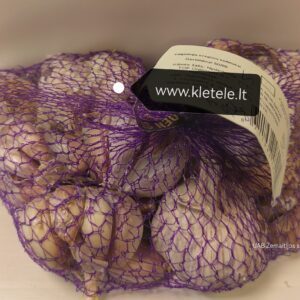 Valgomieji česnakai žieminiai, be žiedstiebio, ankstyvi 'GERMIDOUR' 0,5 kg (Profi linija) NAUJIENA 2023 m.