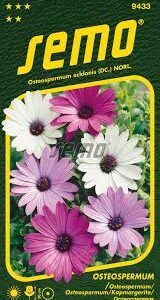 Kaulasėkliai paprastieji (Osteospermum ecklonis), mišinys "BALADE MIX0" ,3 g SEM.