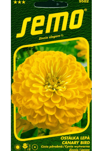 Gvaizdūnės zinijos, pilnavidurės, geltonos, skynimui 'CANARY BIRD' 0,7 g SM. Gvaizdūnės zinijos, pilnavidurės, geltonos, skynimui 'CANARY BIRD' 0,7 g SM.