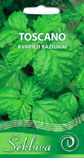 Kvapieji bazilikai platūs 'TOSCANO' 1 g (Naudinga pakuotė) S. Kvapieji bazilikai platūs 'TOSCANO' 1 g (Naudinga pakuotė) S.