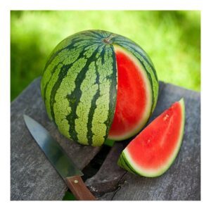 Arbūzai labai ankstyvi, rožiniu minkštimu ‘ASAHI MIYAKO F1' 10 sėklų PS.