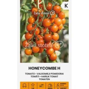 Pomidorai vyšniniai oranžiniai, medaus saldumo 'HONEYCOMBE F1' 10 sėklų A. NAUJIENA 2025 m.
