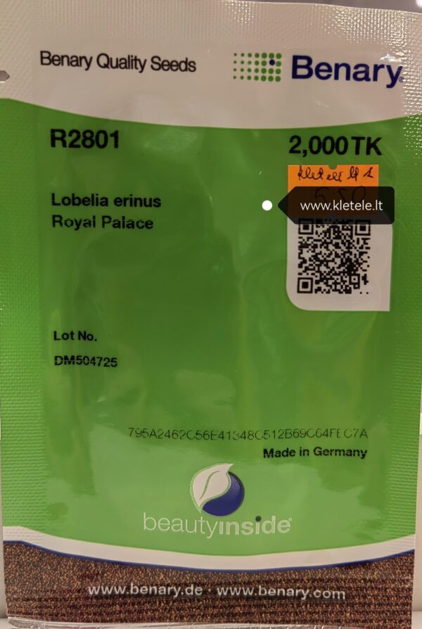 Lobelijos krūminės ankstyvas žydėjimas, „karališkos“ mėlynos (purpurinės) 'ROYAL PALACE' 2000 sėklų (Profi pakuotė, Benary) NAUJIENA 2025 m.