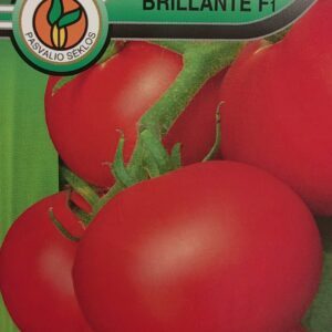 Pomidorai ankstyvi, plokščiai apvalūs didesni vaisiai 'BRILLANTE F1' 10 sėklų PS.