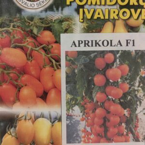 Pomidorai MINI oranžiniais vaisiais, ankstyvi, aukšti, labai saldūs 'APRIKOLA F1' 10 sėklų PS. NAUJIENA 2025 m.