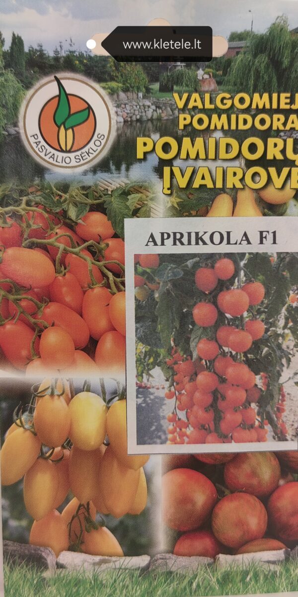 Pomidorai MINI oranžiniais vaisiais, ankstyvi, aukšti, labai saldūs 'APRIKOLA F1' 10 sėklų PS. NAUJIENA 2025 m.