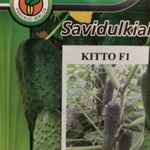 Agurkai savidulkiai vidutinio ankstyvumo, rauginimui ‘KITTO F1’ 20 sėklų PS. Agurkai savidulkiai vidutinio ankstyvumo, rauginimui ‘KITTO F1’ 20 sėklų PS.