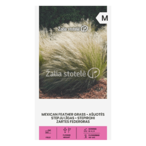 Ašuotės (Stipa tenuissima) 0,2 g (Naudinga pakuotė) A.