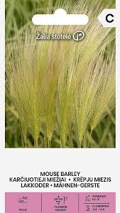 Karčiuotieji miežiai, dekoratyvūs žoliniai augalai, tinka žydinčioms pievoms (Hordeum jubatum) 0,5 g A. NAUJIENA 2025 m.