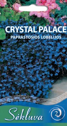 Lobelijos krūminės, tamsiai mėlynos su tamsiais lapeliais 'CRYSTAL PALACE' 0,1 g S. Lobelijos krūminės, tamsiai mėlynos su tamsiais lapeliais 'CRYSTAL PALACE' 0,1 g S.