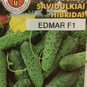 Agurkai savidulkiai vidutinio ankstyvumo, su šviesiomis juostelėmis, laukui ir šiltnamiui ‘EDMAR F1’ 2 g PS. NAUJIENA 2025 m.