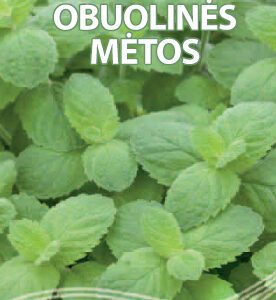Obuolinės mėtos (Lot.Mentha suaveolens), daugiametės 0,1 g S. NAUJIENA 2025 m.