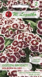 Šiurpiniai gvazdikai „šimtažiedžiai“, dvimečiai, dvispalviai, skynimui 'HOLBORN GLORY' 0,5 g L. NAUJIENA 2025 m.