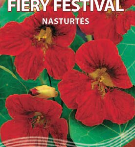 Vijoklinės nasturtės raudonos 'FIERY FESTIVAL' 3 g S.