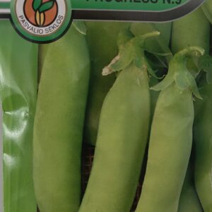 Žirniai žemi vidutinio vėlyvumo, didelės ankštys 'PROGRESS N.9' 30 g PS.