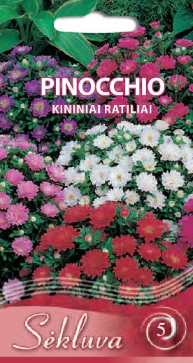 Kininiai ratiliai žemaūgiai 'PINOCCHIO MIX' 0,5 g S. Kininiai ratiliai žemaūgiai 'PINOCCHIO MIX' 0,5 g S.