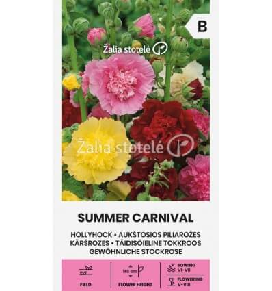 Piliarožės vidutinio aukščio, pilnaviduriais ir pusiau pilnaviduriais žiedais, mišinys 'SUMMER CARNIVAL' 0,6 g A. NAUJIENA 2025 m. Piliarožės vidutinio aukščio, pilnaviduriais ir pusiau pilnaviduriais žiedais, mišinys 'SUMMER CARNIVAL' 0,6 g A. NAUJIENA 2025 m.