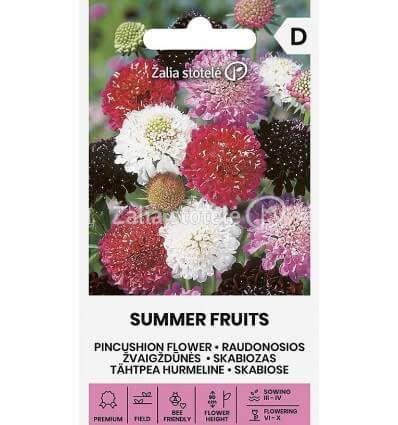 Žvaigždūnės raudonosios, kvepia, skynimui, žydinčiai pievelei, spalvų mišinys 'SUMMER FRUITS' 30 sėklų A. NAUJIENA 2025 m. Žvaigždūnės raudonosios, kvepia, skynimui, žydinčiai pievelei, spalvų mišinys 'SUMMER FRUITS' 30 sėklų A. NAUJIENA 2025 m.