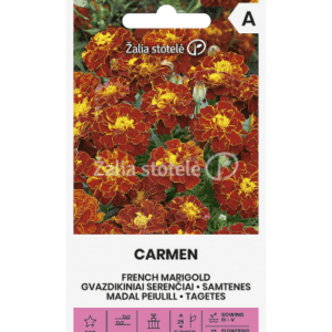 Serenčiai gvazdikiniai žemi, tamsūs 'CARMEN' 1 g (Naudinga pakuotė) A.
