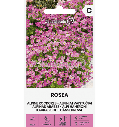 Alpiniai vaistučiai rožiniai, žemi, daugiamečiai 'ROSEA' 0, g A. NAUJIENA 2025 m. Alpiniai vaistučiai rožiniai, žemi, daugiamečiai 'ROSEA' 0, g A. NAUJIENA 2025 m.