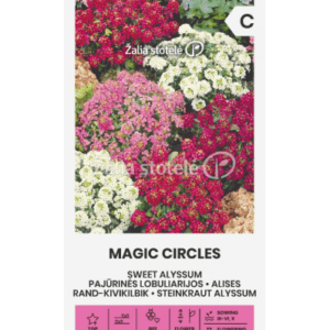 Pajūrinės lobuliarijos (laibeniai, „medučiai“) mišinys, žemos, kvepia medumi 'MAGIC CIRCLES' 1 g A. NAUJIENA 2025 m.
