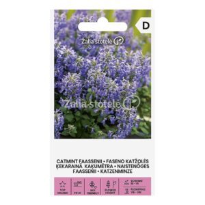 Katžolės Faseno (Nepeta x faassenii), daugiametės, mėlynos, kompaktiškos 0,4 g A. NAUJIENA 2025 m.
