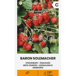 Žemuogės ankstyvos, be ūsų, derlingos, atsparios ligoms 'BARON SOLEMACHER' 0,1 g A.