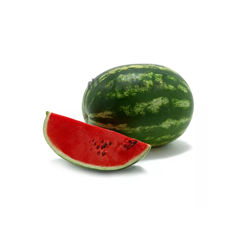 Arbūzai ankstyvi, dideli, saldūs, toleruojantys vėsias naktis 'ODYSSEY F1' 50 sėklų (Didelė pakuotė), SAKATA. NAUJIENA 2026 m. Arbūzai ankstyvi, dideli, saldūs, toleruojantys vėsias naktis 'ODYSSEY F1' 50 sėklų (Didelė pakuotė), SAKATA. NAUJIENA 2026 m.