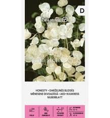 Darželinės blizgės (Lunaria biennis), mišinys, „pinigėliai“, kvepia 2 g A.