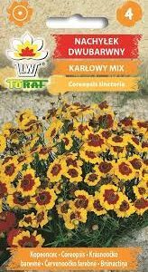 Darželiniai gludai mišinys, vienmečiai, žemi, tinka auginimui vazone „Mix“ (Coreopsis tinctoria) 1 g TO. NAUJIENA 2026 m.