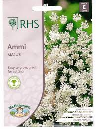 Didieji amiai (Ammi majus), balti „nėriniai“, skynimui ir džiovinimui, žydinčiai pievai 500 sėklų MR.F. NAUJIENA 2025 m. Didieji amiai (Ammi majus), balti „nėriniai“, skynimui ir džiovinimui, žydinčiai pievai 500 sėklų MR.F. NAUJIENA 2025 m.