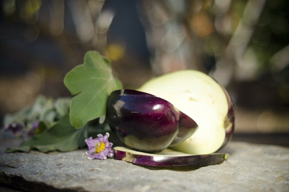 Baklažanai vidutiniškai ankstyvi, stambūs vaisiai 'BLACK BEAUTY' 0,5 g A. Baklažanai vidutiniškai ankstyvi, stambūs vaisiai 'BLACK BEAUTY' 0,5 g A.