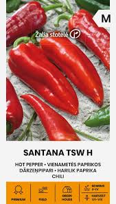 Paprikos aitriosios, vidutiniškai ankstyvos, dideliais pailgais vaisiais, aštraus skonio 'SANTANA TSW H' 10 sėklų A. NAUJIENA 2025 m.