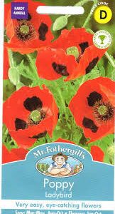 Aguonos kaukazinės, raudonais tuščiaviduriais žiedais 'LADYBIRD' 1000 sėklų Mr.F. NAUJIENA 2025 m.