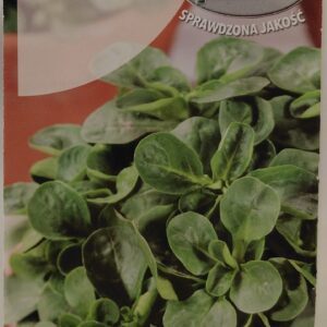 Sultenės salotinės, „žieminės salotos“, atsparios šalčiui 'VERTE DE CAMBRAI' 2 g T.