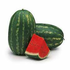 Arbūzai vidutinio ankstyvumo, labai dideli vaisiai, labai saldūs, derlingi, toleruoja ligas ‘FARAO H’ 100 sėklų (Didelė pakuotė). NAUJIENA 2026 m.