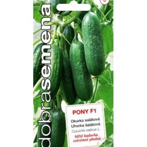 Agurkai MINI ilgavaisiai salotiniai, savidulkiai, tinka vazonams 'PONY H' 10 sėklų DOB.