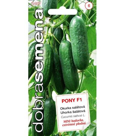 Agurkai MINI ilgavaisiai salotiniai, savidulkiai, tinka vazonams 'PONY H' 10 sėklų DOB. Agurkai MINI ilgavaisiai salotiniai, savidulkiai, tinka vazonams 'PONY H' 10 sėklų DOB.