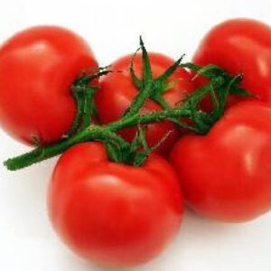 Pomidorai žemi, vidutinio ankstyvumo, vidutinio dydžio vaisiais 'AMALIA' 20 sėklų (Mini pakuotė)