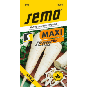 Petražolės šakninės MAXI, stambios, lygūs, kvapnios 'ATIKA' 3 g SM. NAUJIENA 2026 m. Petražolės šakninės MAXI, stambios, lygūs, kvapnios 'ATIKA' 3 g SM. NAUJIENA 2026 m.